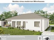 Masholder - Neubaugebiet "Am Boden" - Grundstück 15 - Neubau eines modernen Mikrohauses - Bitburg