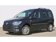 VW Caddy IV 2.0 TDI ACC KA LEDER NAVI PDC RFK SHZ XENON - Neuensalz