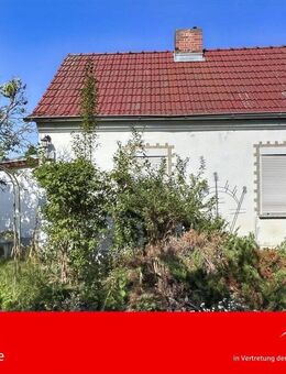 Gemütliches Haus in grüner Umgebung! - Fürstenwalde (Spree)