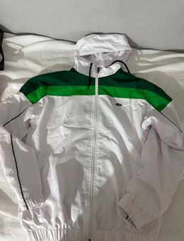 Lacoste Anzug Größe L - Stade (Hansestadt)