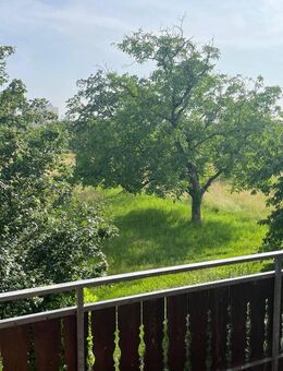 Ruhiges Wohnen im Grünen - Weil (Rhein)