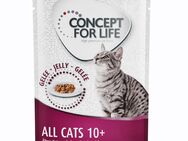 Gemischtes Sparpaket Concept for Life Gelee & Soße 24 x 85 g  - All Cats 10+ in Soße und Gelee