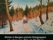 Ein Dreigespann unterwegs in Winter. - Nürnberg