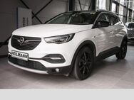 Opel Grandland, 1.2 Ultimate Bi DENON Grad, Jahr 2019 - Gelsenkirchen