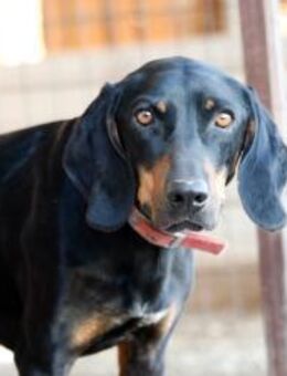 Giulio sucht seine Menschen - Krefeld