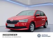 Skoda Fabia, 1.0 TSI Ambition, Jahr 2021 - Salzkotten