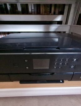 Drucker inkl Tinte Epson Expression Premium XP900 Multifunktion - Gründau
