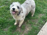 Marcia sucht ihr Eigenheim - Celle