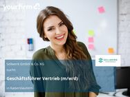 Geschäftsführer Vertrieb (m/w/d) - Kaiserslautern