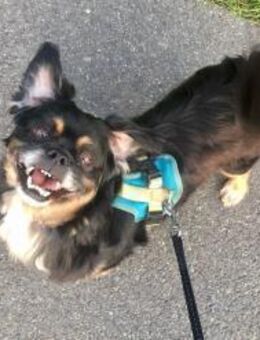 Nanno liebe und Herzenswarm 💚 - München