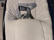Babywippe und Toilettensitz - Walsdorf (Rheinland-Pfalz)