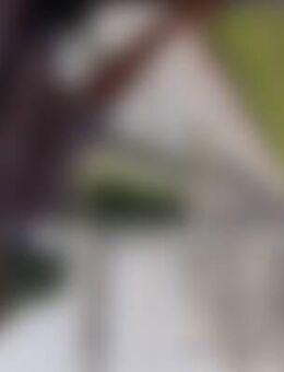 Ich*** - Ludwigschorgast