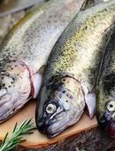 Angelst du als FRAU auch so gerne? Dann komm! in 98693