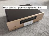 Accuphase DP430 - Drage (Niedersachsen)