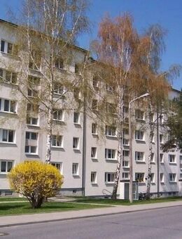 schöne, 4-Zimmer Wohnung mit Balkon - Neustadt (Sachsen)