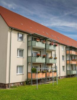 Helle 3-RW mit Dusche u. Balkon sucht Mitbewohner für gemeinsame Abenteuer!!! - Freiberg