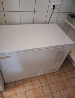 Gastronomie Kühl- & Tiefkühlgeräte zu verkaufen – guter Zustand - Lautertal (Odenwald)