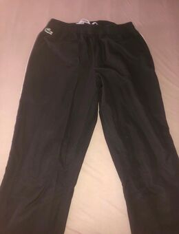 Lacoste Hose - Berlin Reinickendorf
