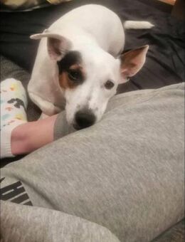 Liebenswürdig + freundlich = SHIRLEY ♥️ - München