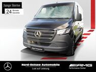 Mercedes Sprinter, 317 Tourer Dachklima, Jahr 2023 - Heide