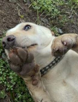 255590 - gemeinsam durch jeden Tag - Overath