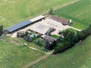 Natur pur: Ihr eigener Hof mit Stall und Nebengebäude auf 2,2 ha - Option auf weitere Flächen - Ovelgönne