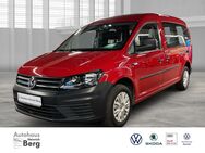 VW Caddy, 1.0 TSI Maxi Kasten EcoProfi, Jahr 2019 - Oldenburg (Holstein)