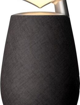 LG XBOOM 360 DXO2 Lautsprecher 1.1 (Bluetooth, 20 W, 360° Sound, bis zu 20Std. Akkulaufzeit, Ambient-Beleuchtung)