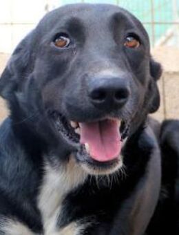 ULISSE 2 - er ist soooo nett - Regensburg