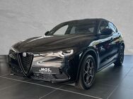 Alfa Romeo Stelvio, 2.2 l #SPRINT #ASSISTENZ #, Jahr 2024 - Bayreuth