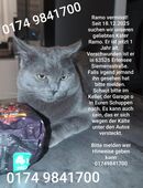 Ramo wird vermisst in 63526