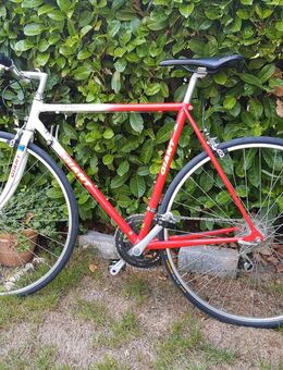Herren Rennrad Giant Team RR, 28 Zoll, RH 54 - Pulheim