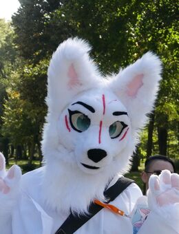 „Kuschelige Begleitung gesucht? Dein Kitsune-Furry zum Wohlfühlen 🦊✨“ - Potsdam