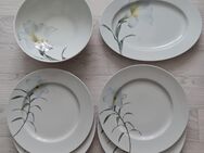 Neues Rosenthal Porzellan - Nürnberg