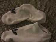 Getragene Socken zu verkaufen - Idstein