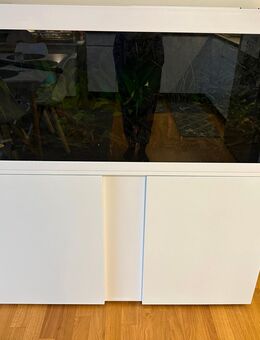 Aquarium Eheim mit Unterschrank und Beleuchtung - Berlin Treptow-Köpenick