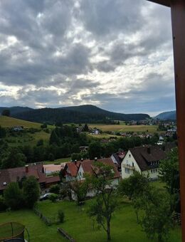 Helle und weitläufige Wohnung mit beeindruckender Aussicht - Baiersbronn