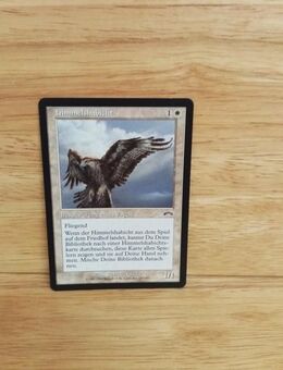 Magic The Gathering-himmelshabicht - Nörvenich