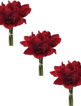 Winterliche Kunstpflanze Weihnachtsdeko Amaryllis, Creativ green, Höhe 32 cm, üppige Blütenpracht, 3er-Set
