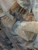 Feuerholz von Privatbesitz in 01936