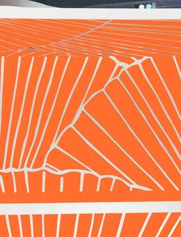 Billy Regal, 202 cm, besonderes Design, Weis/Orange - Berlin Spandau