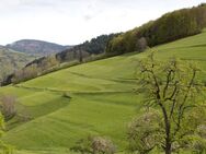 Ruhig gelegenes Einfamilienhaus am Naturschutzgebiet Belchen - Aitern