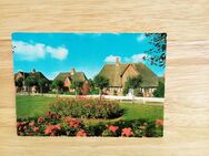 Ansichtskarte-Ak-226 Nordseeinsel Föhr. Boldixum auf Föhr. Am Holm - Nörvenich