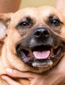 Teddy 🧸 wartet schon so lange! - Hamburg