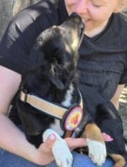 Fidelia ist ein Traumhund - München