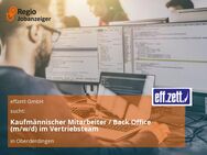 Kaufmännischer Mitarbeiter / Back Office (m/w/d) im Vertriebsteam - Oberderdingen