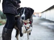 Der liebe Tobbi hat einen Wunsch - München