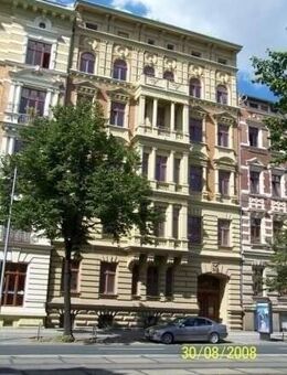 Großzügige Wohnung mit EBK - Magdeburg