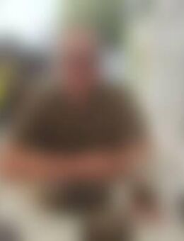 Har*** - Gemünden (Wohra)