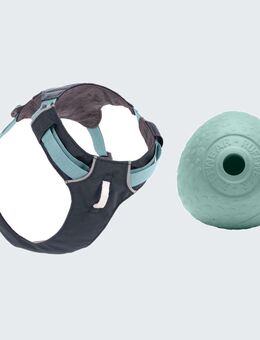 Ruffwear Hundegeschirr + Ø 8,9 cm Spielzeug Huckama gratis! - Hi & Light Harness, Basalt Grey Größe S: 56 - 69 cm Brustumfang